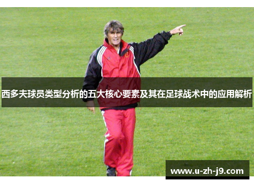 西多夫球员类型分析的五大核心要素及其在足球战术中的应用解析