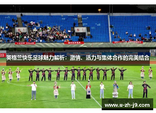 英格兰快乐足球魅力解析：激情、活力与集体合作的完美结合