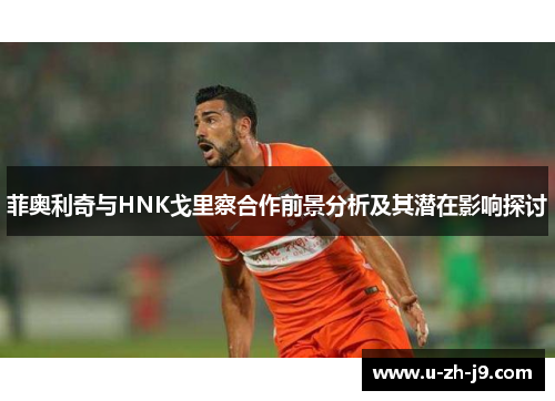 菲奥利奇与HNK戈里察合作前景分析及其潜在影响探讨