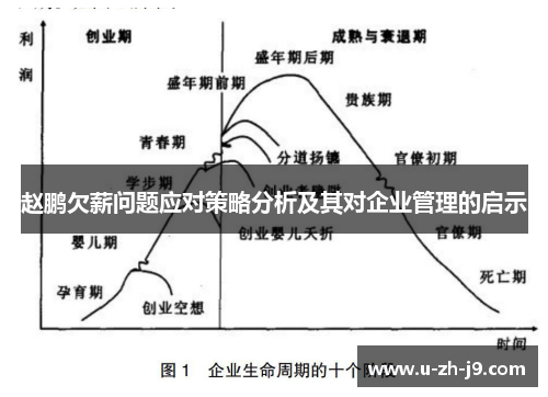 赵鹏欠薪问题应对策略分析及其对企业管理的启示