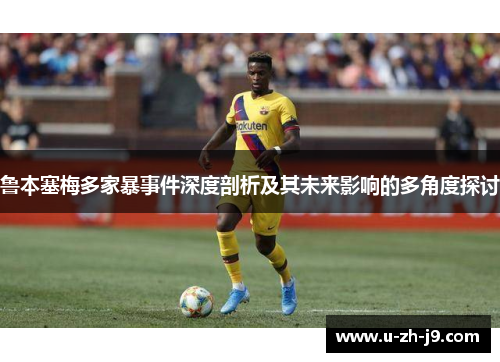 鲁本塞梅多家暴事件深度剖析及其未来影响的多角度探讨