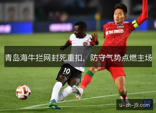 青岛海牛拦网封死重扣,防守气势点燃主场 青岛海牛拦网封死重扣,防守气势点燃主场